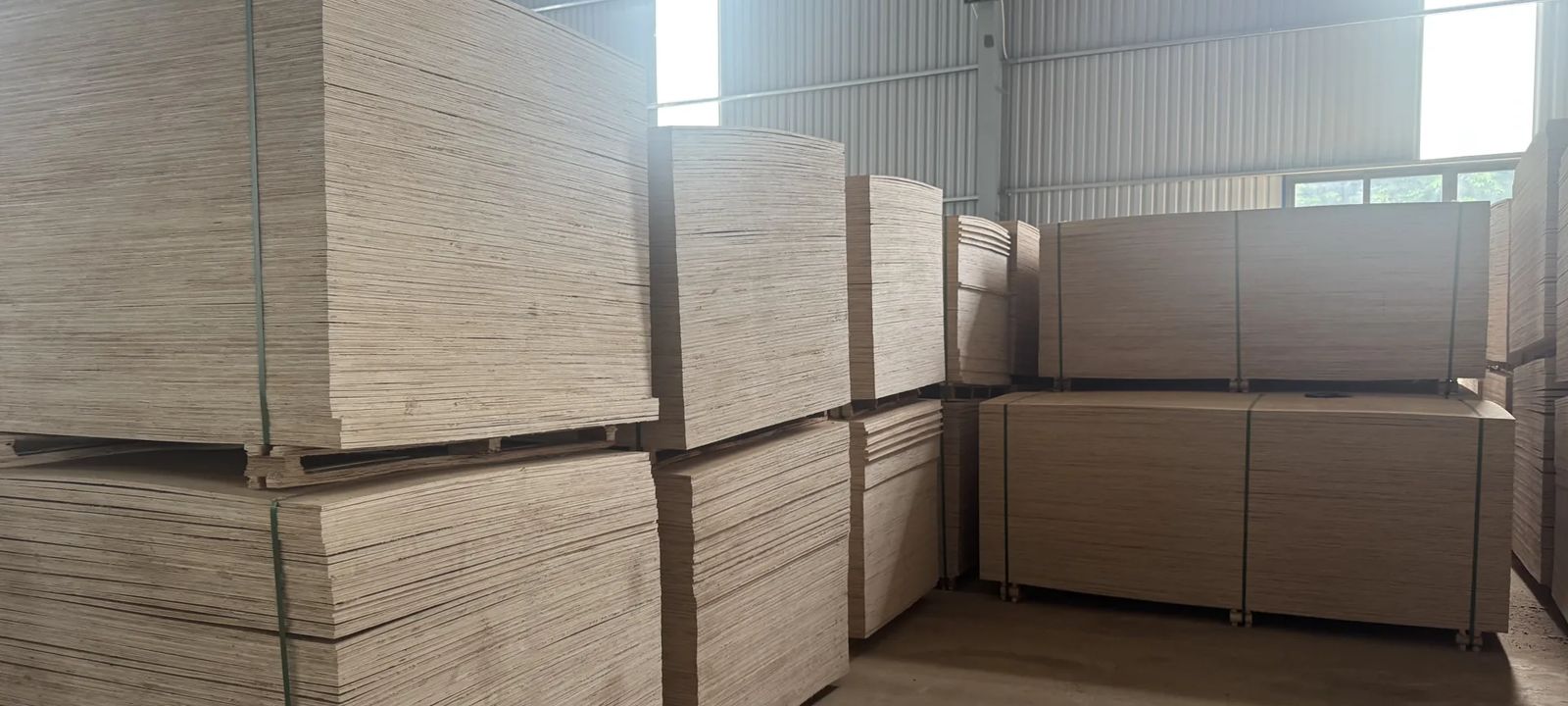 Bản đồ thị trường xuất khẩu của BH WOODLAND