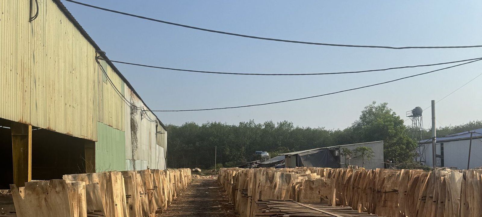 Dong Phu area